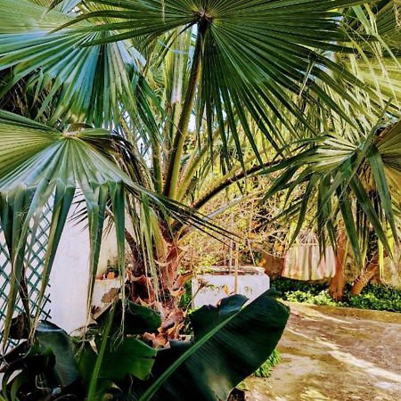 Cozy 3 Bedroom Home - Close To Beach Lourinhã Exterior foto